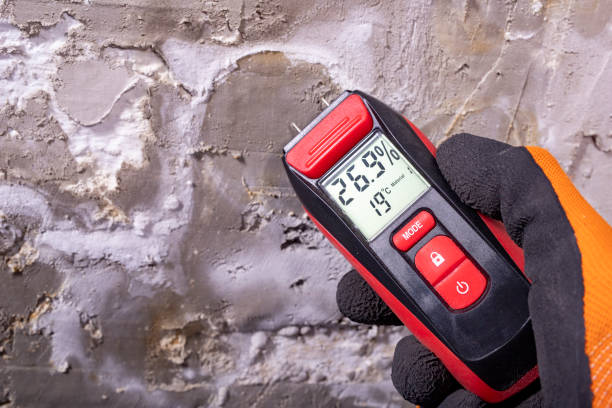 Best Emergency Mold Remediation in Marthasville, MO