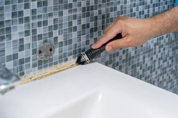Best Mold Remediation for Specific Building Types in Marthasville, MO