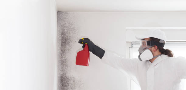 Best Industrial Mold Remediation in Marthasville, MO